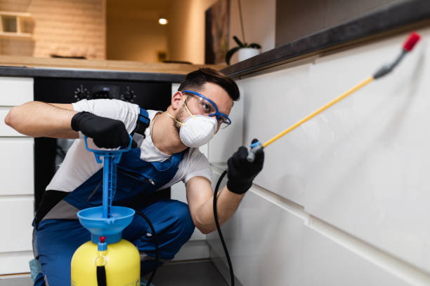 Best Affordable Pest Control Services  in Kimball, NE