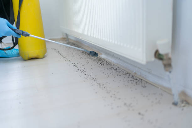 Best Pest Removal Services  in Kimball, NE