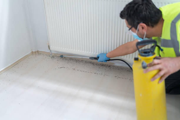 Best Pest Inspection Near Me  in Kimball, NE