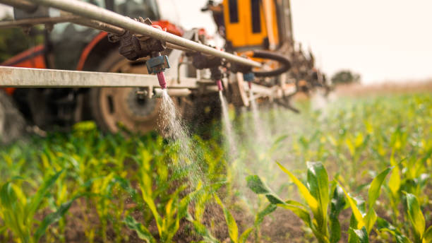 Best Commercial Pest Control Services  in Kimball, NE
